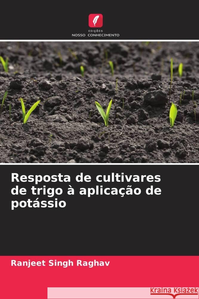 Resposta de cultivares de trigo a aplicacao de potassio Ranjeet Singh Raghav   9786205966235 Edicoes Nosso Conhecimento - książka