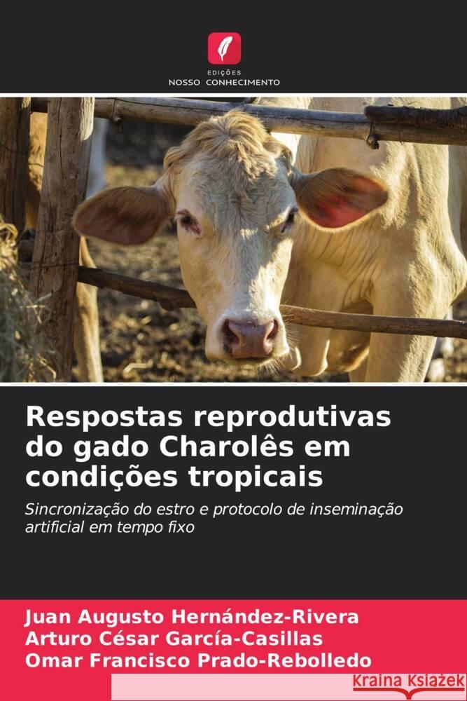 Respostas reprodutivas do gado Charolês em condições tropicais Hernández-Rivera, Juan Augusto, García-Casillas, Arturo César, Prado-Rebolledo, Omar Francisco 9786208199807 Edições Nosso Conhecimento - książka