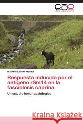 Respuesta inducida por el antígeno rSm14 en la fasciolosis caprina Mendes Ricardo Evandro 9783844339505 Editorial Academica Espanola - książka