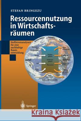 Ressourcennutzung in Wirtschaftsräumen: Stoffstromanalysen Für Eine Nachhaltige Raumentwicklung Bringezu, Stefan 9783642641022 Springer - książka