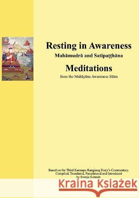 Resting in Awareness: Mahamudra and Satipatthana. Meditations Svenja Schmitt 9783756220021 Books on Demand - książka