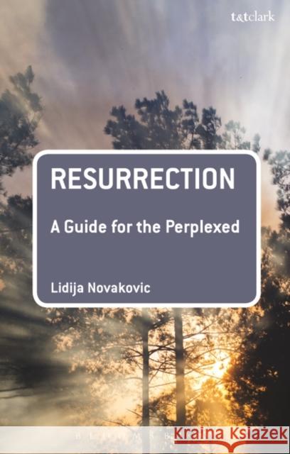 Resurrection: A Guide for the Perplexed Novakovic, Lidija 9780567028150 T & T Clark International - książka