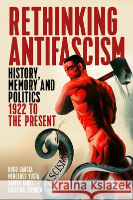 Rethinking Antifascism: History, Memory and Politics, 1922 to the Present Mercedes Yusta Xavier Tabet 9781785331381 Berghahn Books - książka