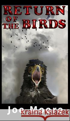 Return of the Birds Joe Moore 9781732495869 North Pole Press - książka