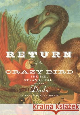 Return of the Crazy Bird: The Sad, Strange Tale of the Dodo Pinto-Correia, Clara 9780387988764 Copernicus Books - książka