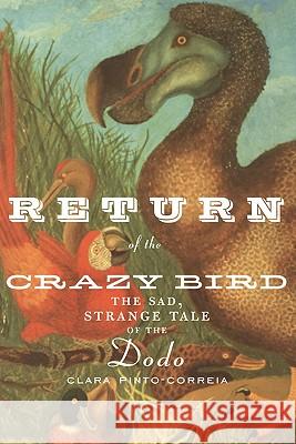 Return of the Crazy Bird: The Sad, Strange Tale of the Dodo Clara Pinto-Correia 9781441931801 Springer-Verlag New York Inc. - książka