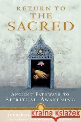 Return to The Sacred: Ancient Pathways to Spiritual Awakening Ellerby, Jonathan H. 9781401921569 Hay House - książka