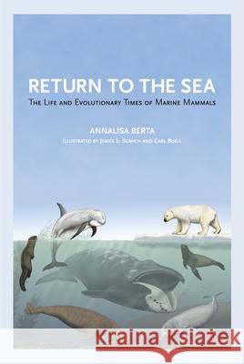Return to the Sea: The Life and Evolutionary Times of Marine Mammals Annalisa Berta 9780520270572 UNIVERSITY OF CALIFORNIA PRESS - książka