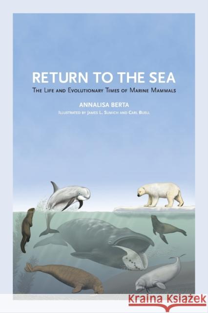 Return to the Sea: The Life and Evolutionary Times of Marine Mammals Annalisa Berta James L. Sumich Carl Buell 9780520355521 University of California Press - książka