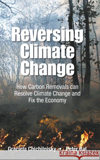 Reversing Climate Change: How Carbon Removals Can Resolve Climate Change and Fix the Economy Graciela Chichilnisky Peter Bal 9789814719346 World Scientific Publishing Company - książka