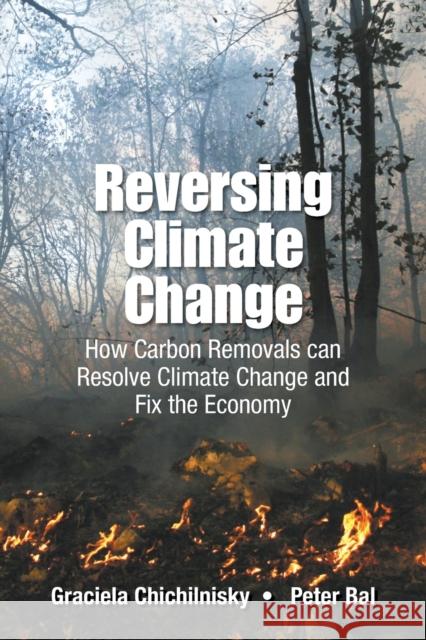 Reversing Climate Change: How Carbon Removals Can Resolve Climate Change and Fix the Economy Graciela Chichilnisky Peter Bal 9789814719353 World Scientific Publishing Company - książka