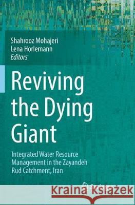 Reviving the Dying Giant: Integrated Water Resource Management in the Zayandeh Rud Catchment, Iran Mohajeri, Shahrooz 9783319855219 Springer - książka