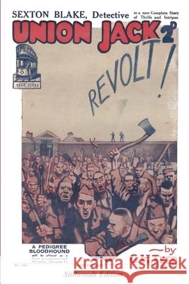 Revolt G H Teed 9781989788257 Stillwoods - książka