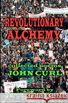 Revolutionary Alchemy John Curl 9780615704142 Homeward Press - książka