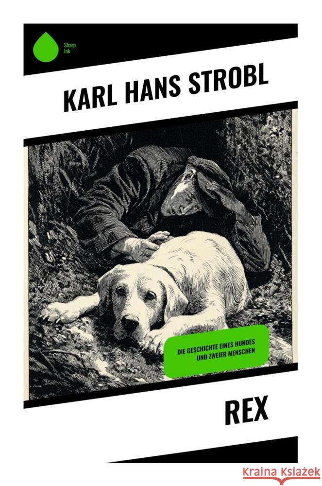 Rex Strobl, Karl Hans 9788028399672 Copycat - książka