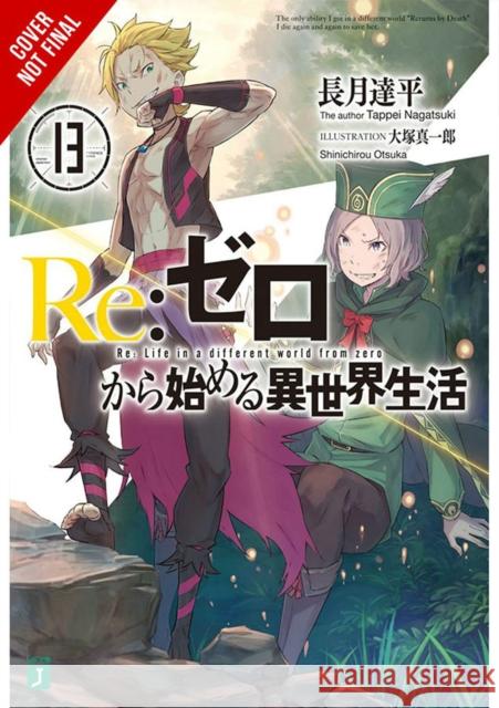 Re:ZERO -Starting Life in Another World-, Vol. 13 (light novel) Tappei Nagatsuki 9781975383220 Little, Brown & Company - książka