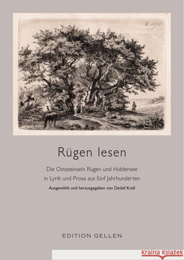 Rügen lesen  9783862763542 Neisse - książka
