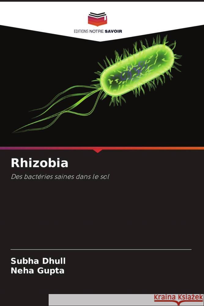 Rhizobia Dhull, Subha, Gupta, Neha 9786205087541 Editions Notre Savoir - książka