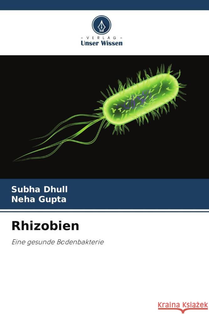 Rhizobien Dhull, Subha, Gupta, Neha 9786205087565 Verlag Unser Wissen - książka