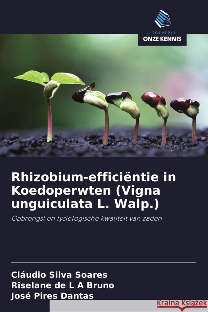 Rhizobium-efficiëntie in Koedoperwten (Vigna unguiculata L. Walp.) Silva Soares, Cláudio, de L A Bruno, Riselane, Pires Dantas, José 9786208281298 Uitgeverij Onze Kennis - książka