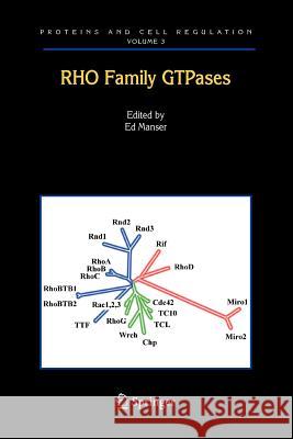 Rho Family Gtpases Manser, Edward J. 9789048168736 Not Avail - książka