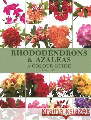 Rhododendrons and Azaleas - A Colour Guide Kenneth Cox 9781861267849 The Crowood Press Ltd - książka