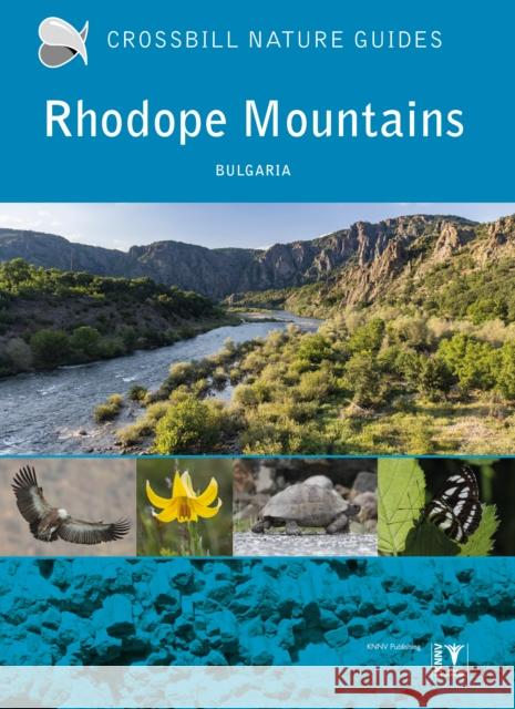 Rhodope Mountains: Bulgaria Dirk Hilbers 9789491648243 Crossbill Guides Foundation - książka