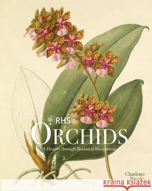 RHS Orchids Charlotte Brooks 9781788841610 ACC Art Books - książka