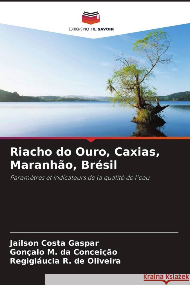 Riacho do Ouro, Caxias, Maranhão, Brésil Costa Gaspar, Jailson, da Conceição, Gonçalo M., de Oliveira, Regigláucia R. 9786208383411 Editions Notre Savoir - książka