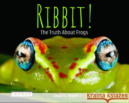 Ribbit! the Truth about Frogs Annette Whipple Juanbjuan Oliver 9781478875871 Reycraft Books - książka