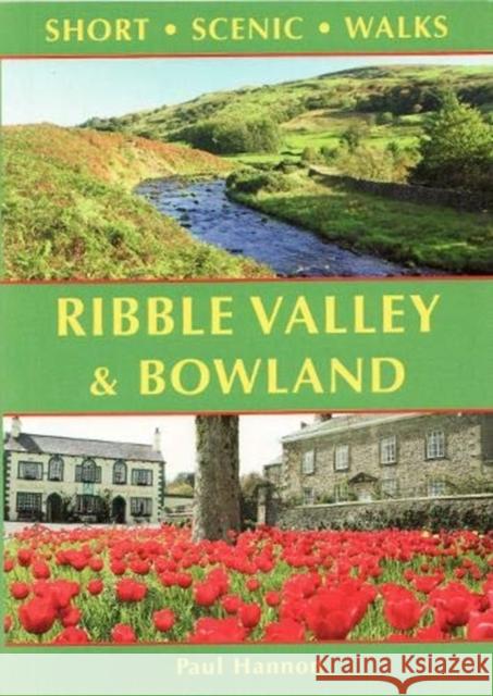 Ribble Valley and Bowland: Short Scenic Walks Hannon Paul 9781907626388 Hillside Publications - książka