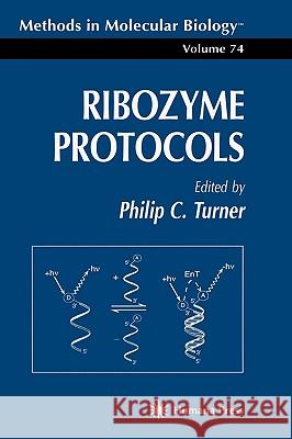 Ribozyme Protocols Philip C. Turner 9780896033894 Humana Press - książka