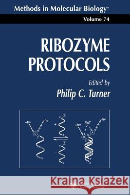 Ribozyme Protocols Philip C. Turner 9781489942852 Humana Press - książka