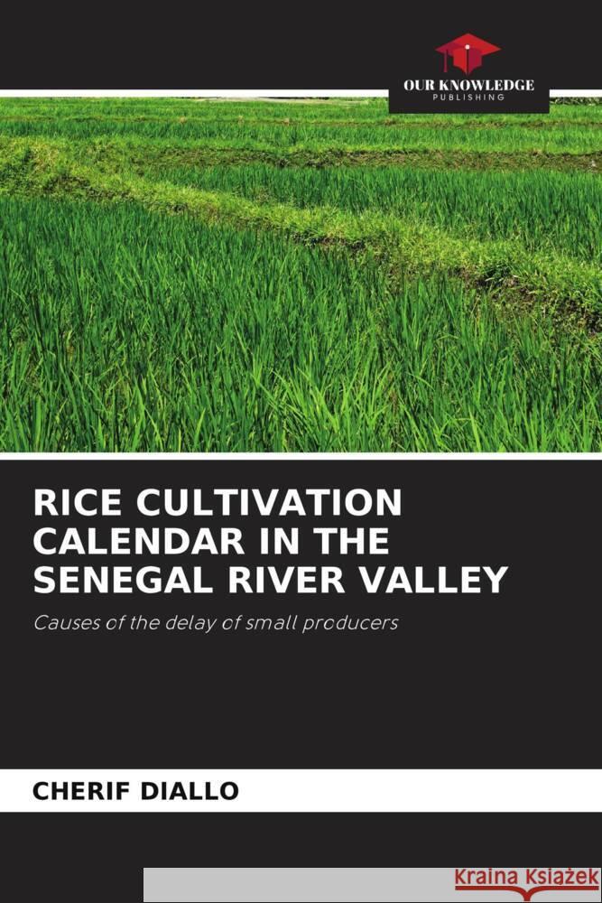 RICE CULTIVATION CALENDAR IN THE SENEGAL RIVER VALLEY Diallo, Cherif 9786205559239 Our Knowledge Publishing - książka