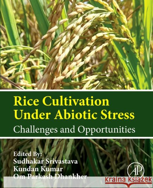 Rice Cultivation Under Abiotic Stress: Challenges and Opportunities  9780443217937 Elsevier Science Publishing Co Inc - książka