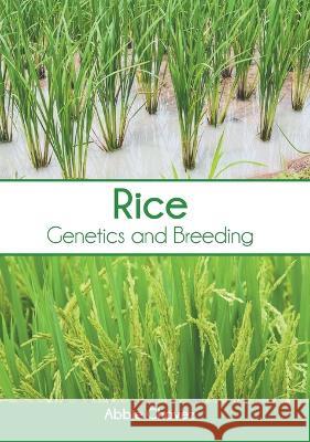 Rice: Genetics and Breeding Abbie Chavez 9781639874934 Murphy & Moore Publishing - książka