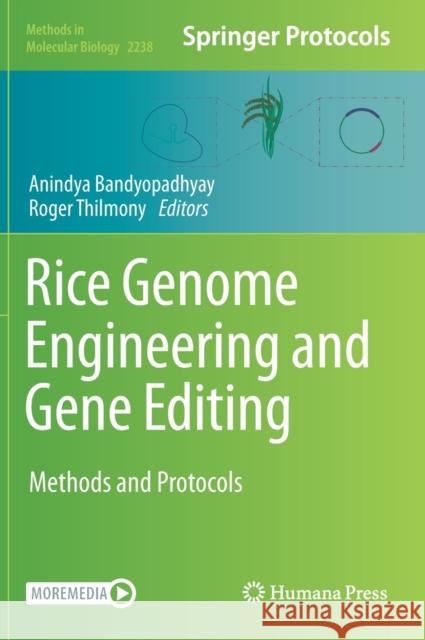 Rice Genome Engineering and Gene Editing: Methods and Protocols Bandyopadhyay, Anindya 9781071610671 Humana - książka