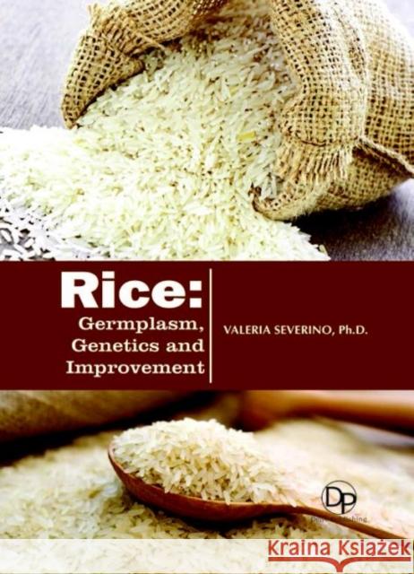 Rice: Germplasm, Genetics and Improvement Valeria Severino 9781680957655 Eurospan (JL) - książka