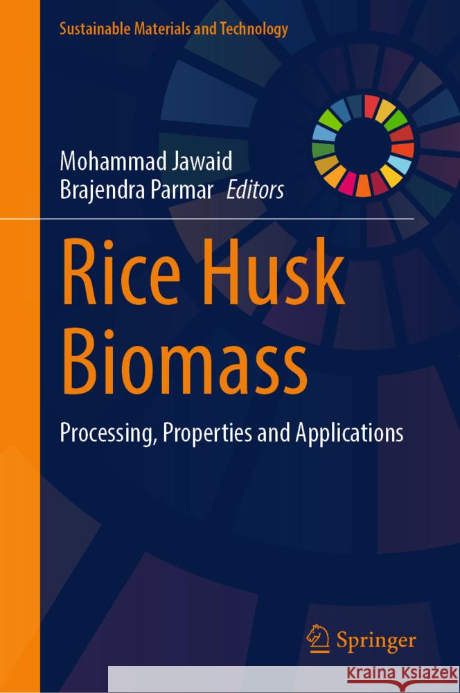 Rice Husk Biomass  9789819610815 Springer - książka