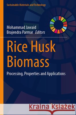 Rice Husk Biomass  9789819610846 Springer Nature Singapore - książka