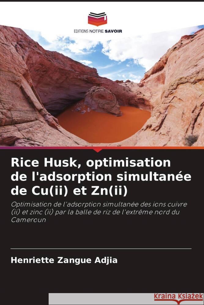 Rice Husk, optimisation de l'adsorption simultanée de Cu(ii) et Zn(ii) Zangue Adjia, Henriette 9786205031353 Editions Notre Savoir - książka