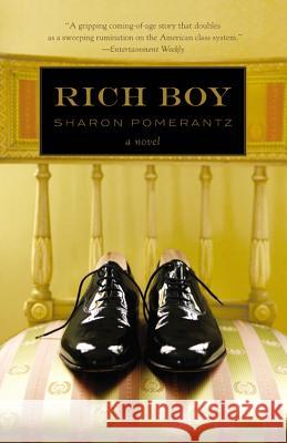 Rich Boy Sharon Pomerantz 9780446563192 Time Warner Trade Publishing - książka