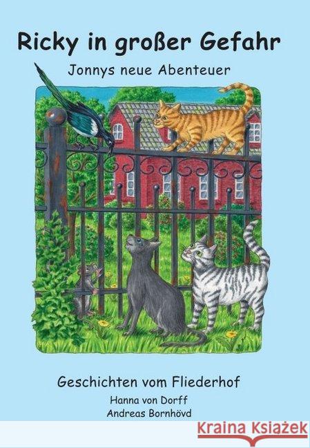 Ricky in großer Gefahr : Jonnys neue Abenteuer Hanna Vo 9783749766642 Tredition Gmbh - książka