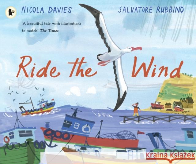 Ride the Wind Nicola Davies Salvatore Rubbino  9781406394580 Walker Books Ltd - książka