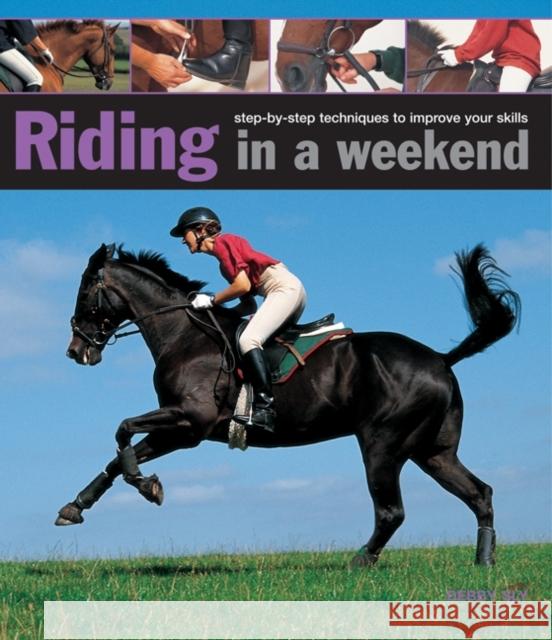 Riding in a Weekend Sly Debby 9780754827627  - książka