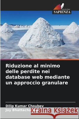 Riduzione al minimo delle perdite nei database web mediante un approccio granulare Choubey, Dilip Kumar, Bhattacharjee, Joy 9786208845940 Edizioni Sapienza - książka