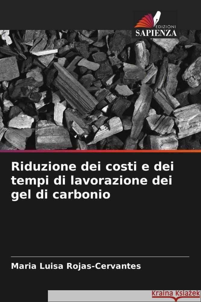 Riduzione dei costi e dei tempi di lavorazione dei gel di carbonio Rojas-Cervantes, Maria Luisa 9786202607216 Edizioni Sapienza - książka
