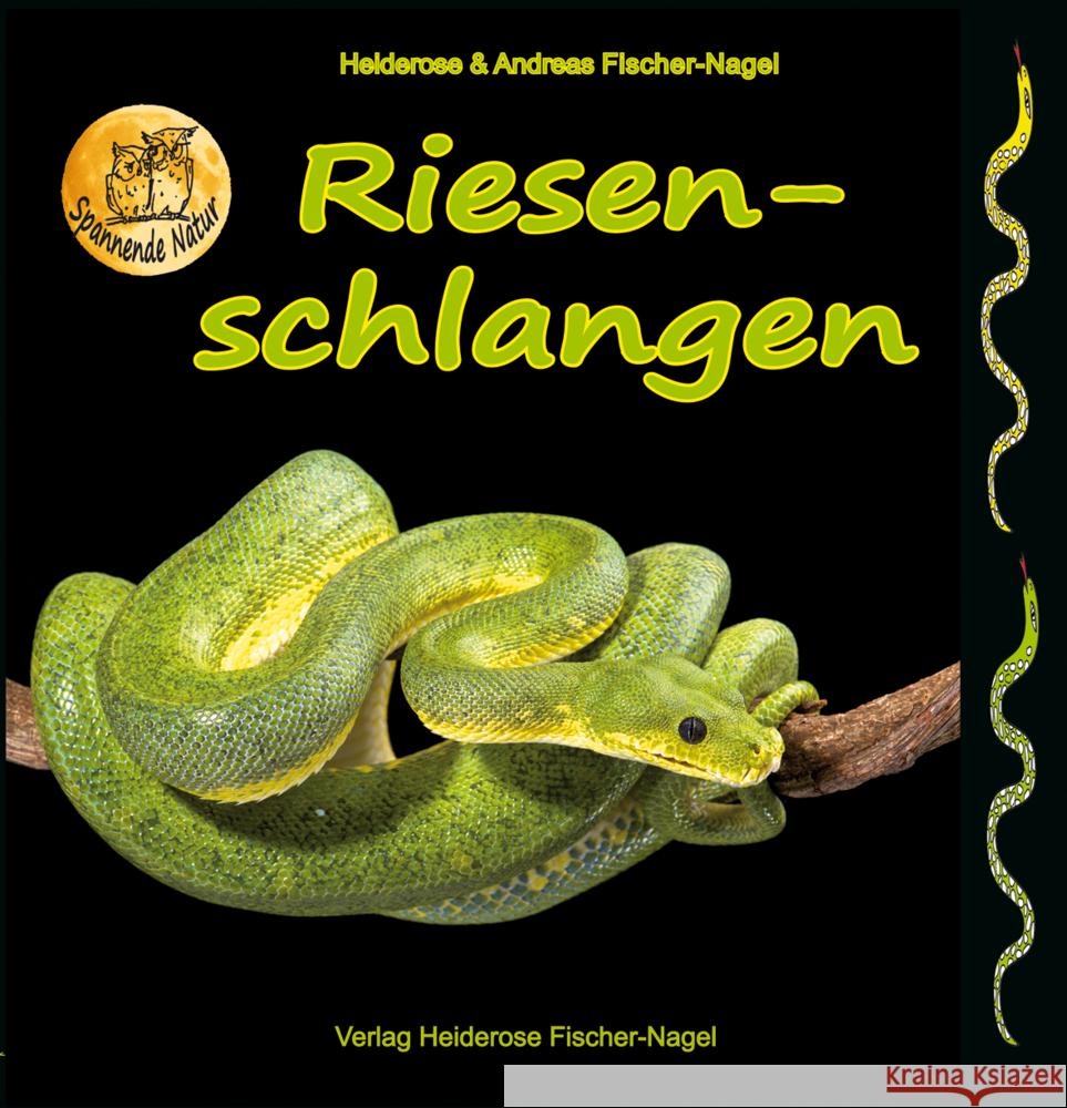 Riesenschlangen Fischer-Nagel, Heiderose, Fischer-Nagel, Andreas 9783930038961 Fischer-Nagel - książka