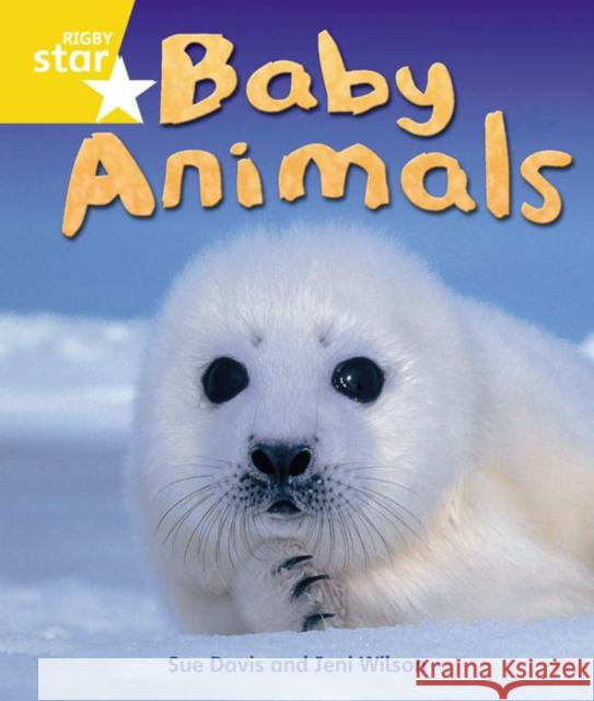 Rigby Star Guided Quest Year 1 Yellow Level: Baby Animals Reader Single  9780433072829 Pearson Education Limited - książka