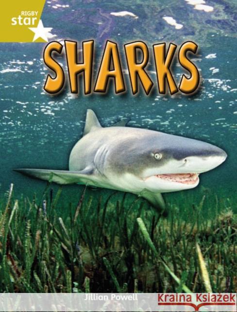 Rigby Star Independent Year 2 Gold Non Fiction Sharks Single Jillian Powell 9780433034612  - książka